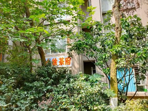 成都青台山社区电话