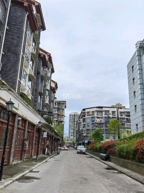 仪陇新政最近租房信息