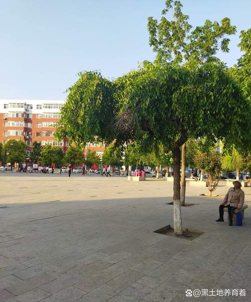 邹城玉泉社区小广场