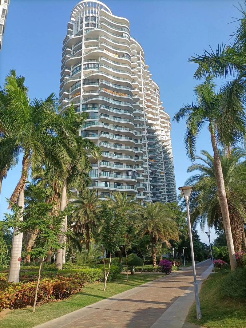 碧海新居是哪个社区