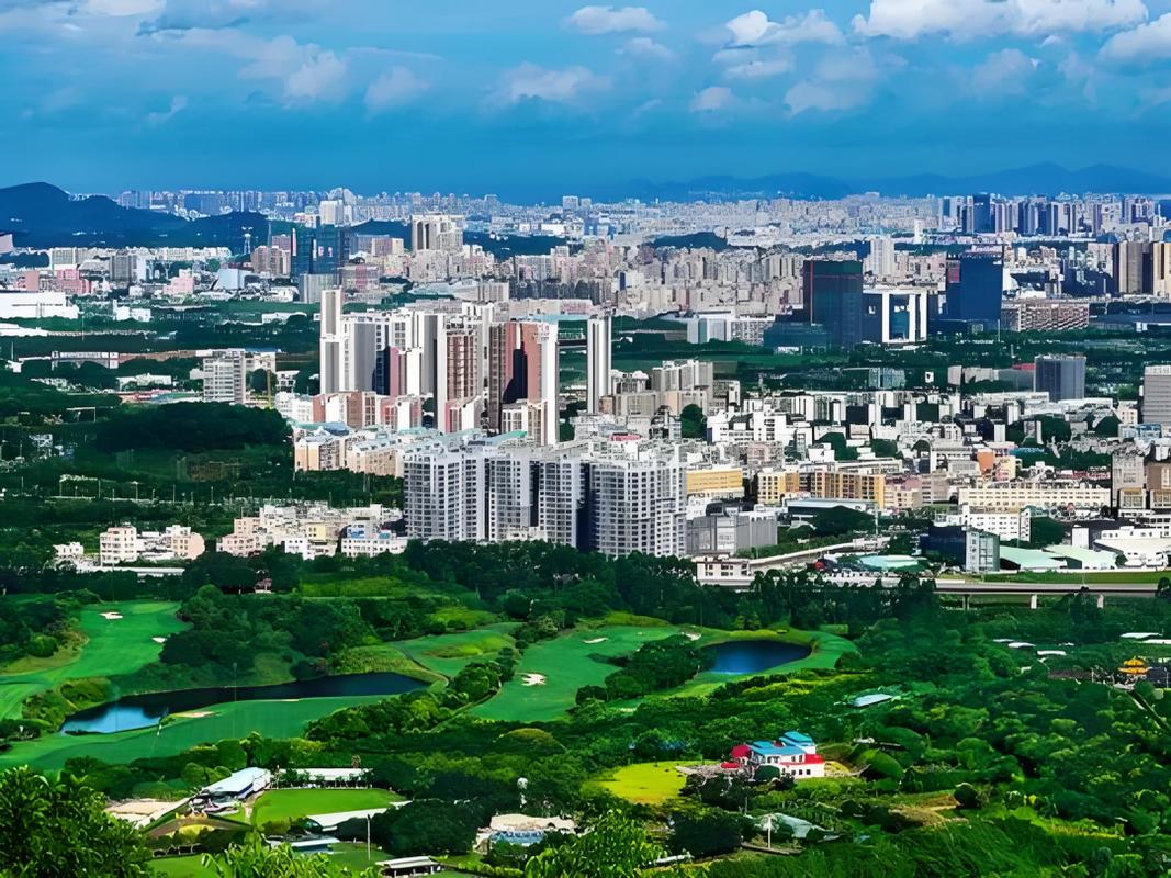 光明城市所属社区叫