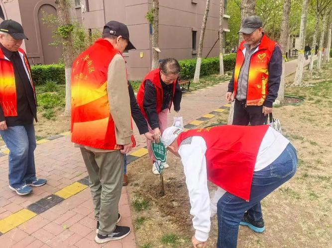 仕林苑属于哪个社区
