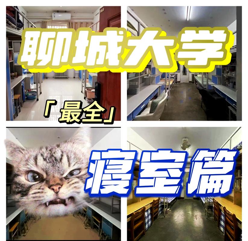 聊城大学边边租房信息