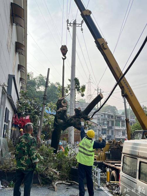湖北黄石王家里社区