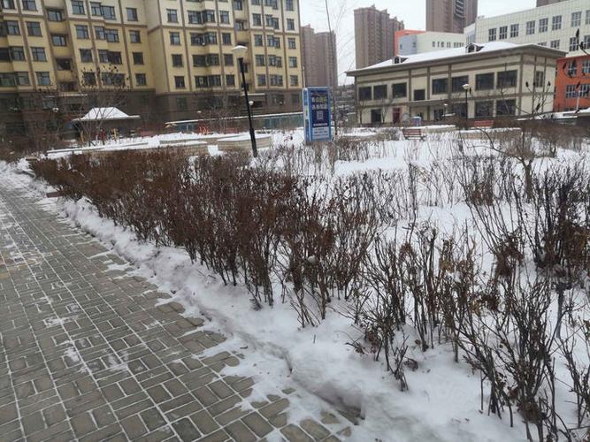 乌市西山路中泰社区