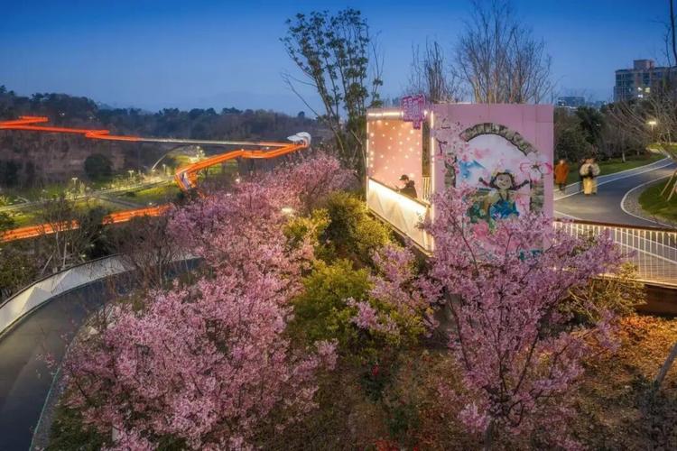 宁波樱花社区的特点