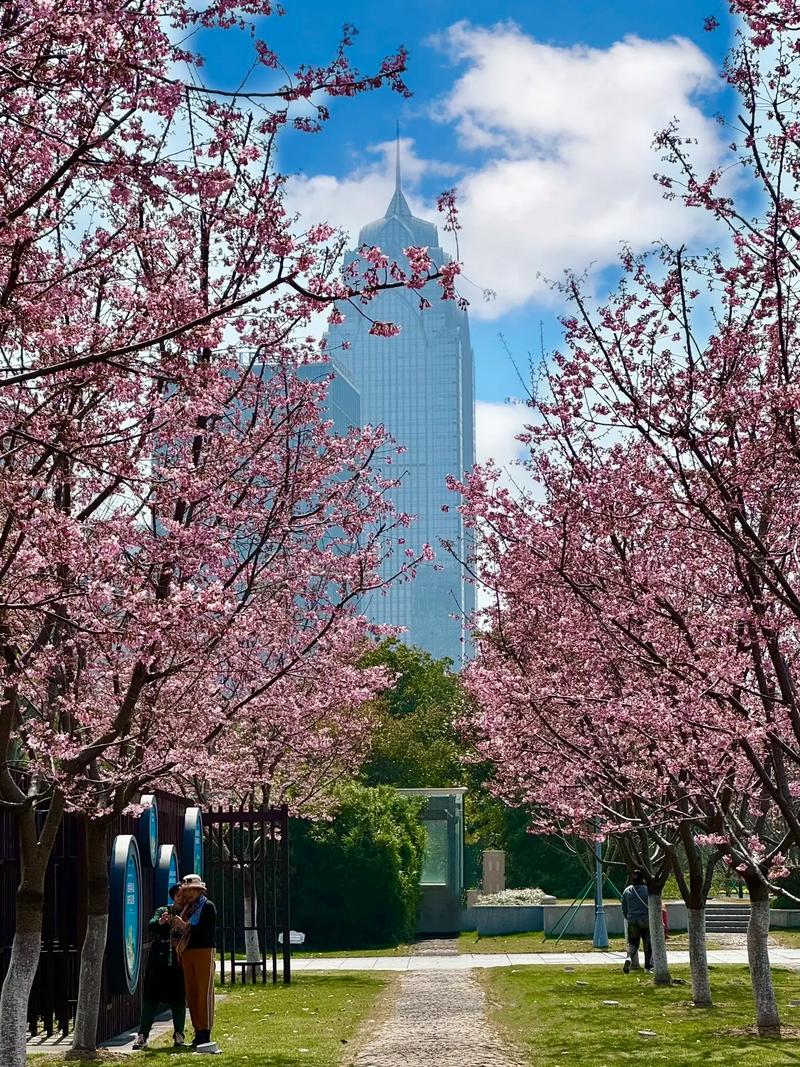 宁波樱花社区的特点