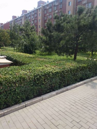 高立庄高鑫家园社区