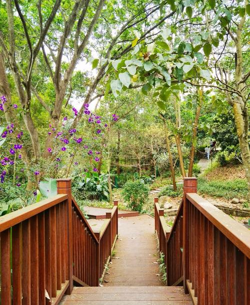 深圳龙岗聚龙山社区