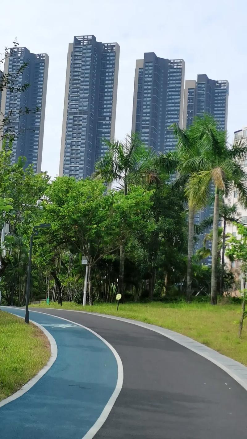 深圳龙岗聚龙山社区