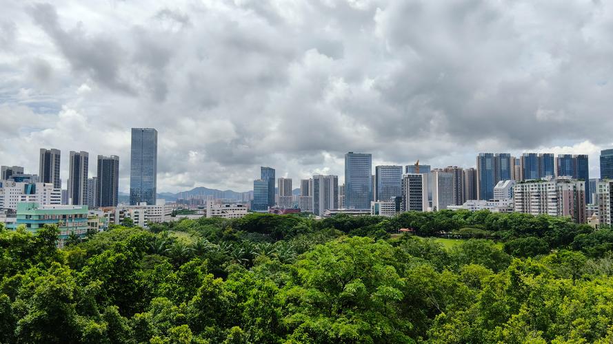 深圳龙岗聚龙山社区