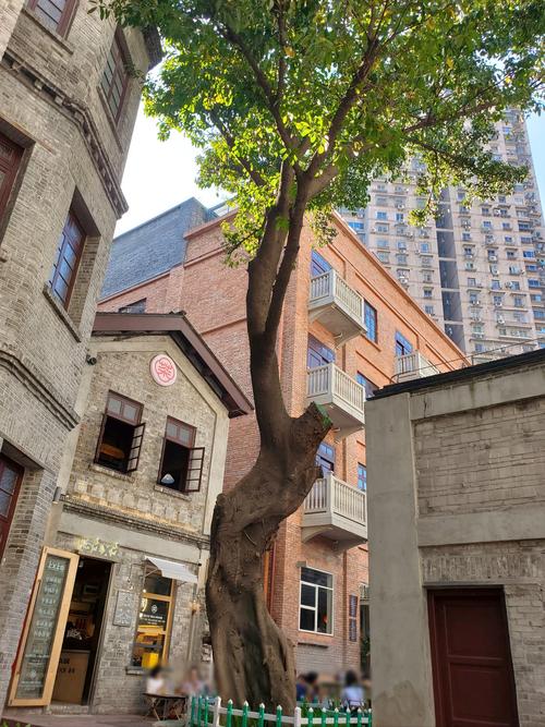 重庆渝中区社区商业