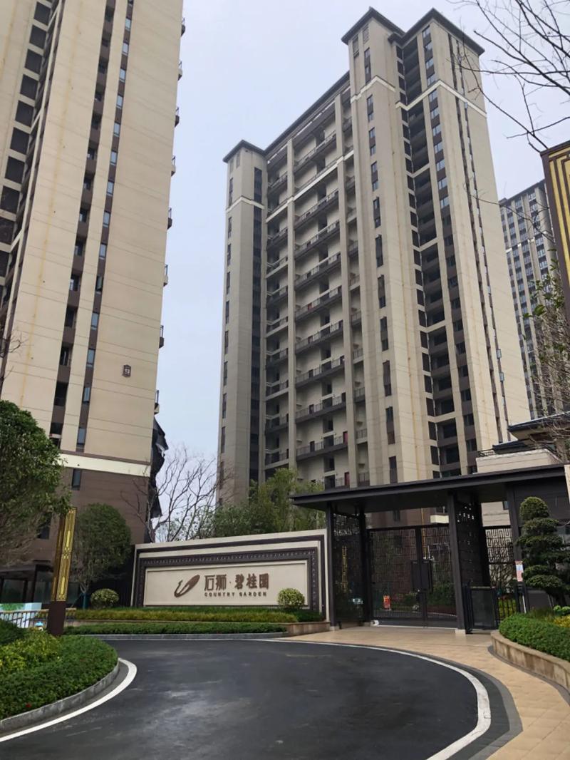 永春碧桂园高挡社区