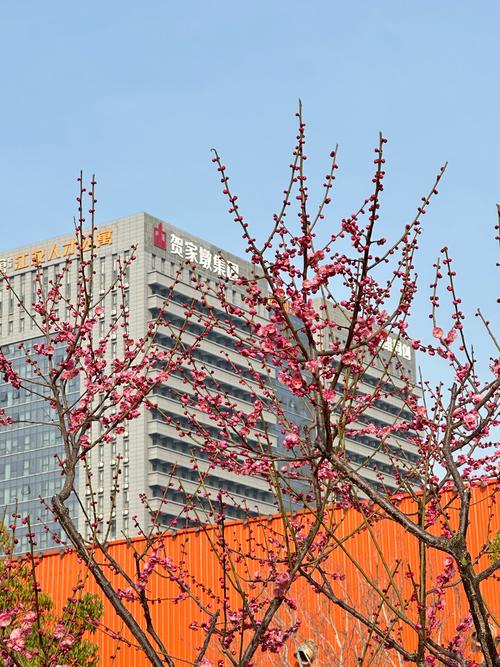 中广物业梅花楼社区