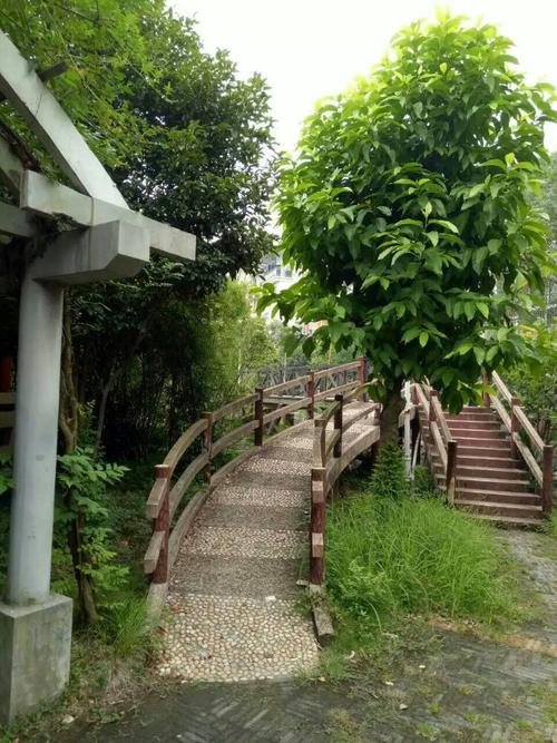 温州红枫山庄 社区