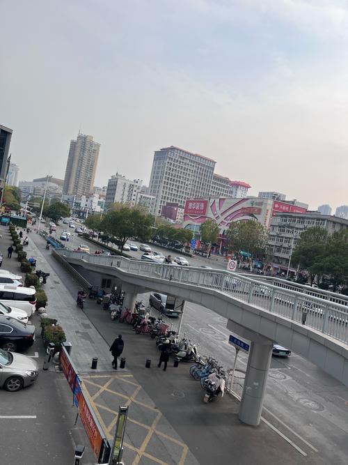 天星桥天马支路社区