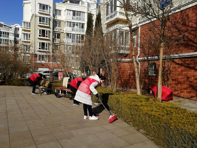 维纳花园社区 冬训