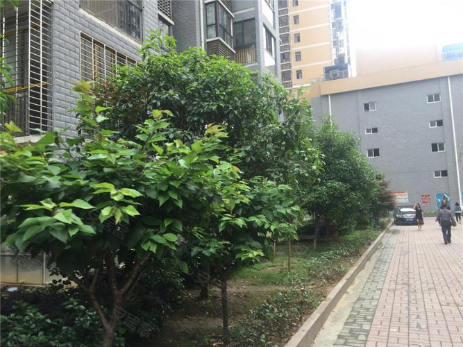 鄂州竹林广场 社区