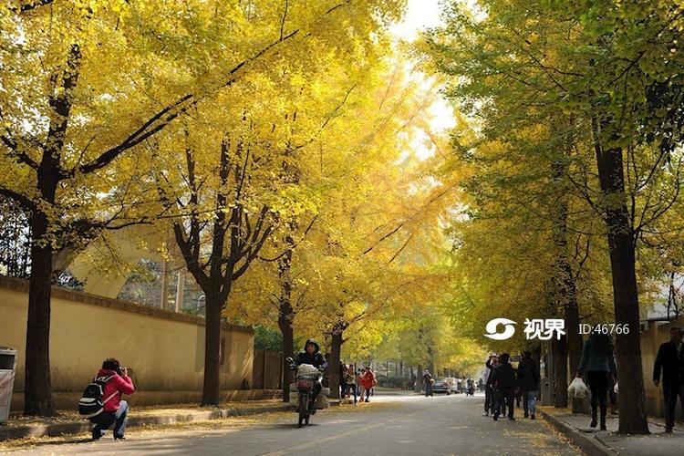 成都 锦绣街 社区