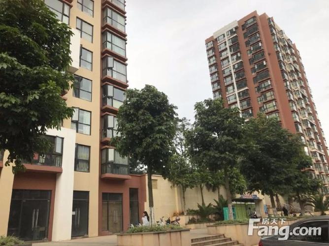 昆明青果社区在哪?