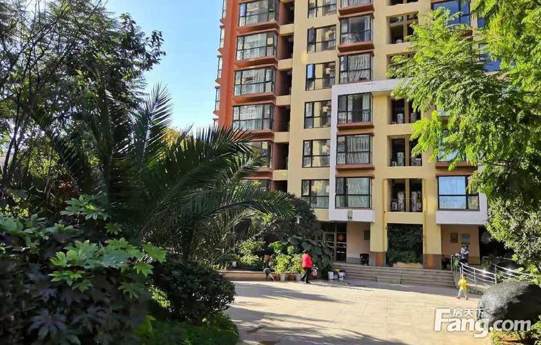 昆明青果社区在哪?