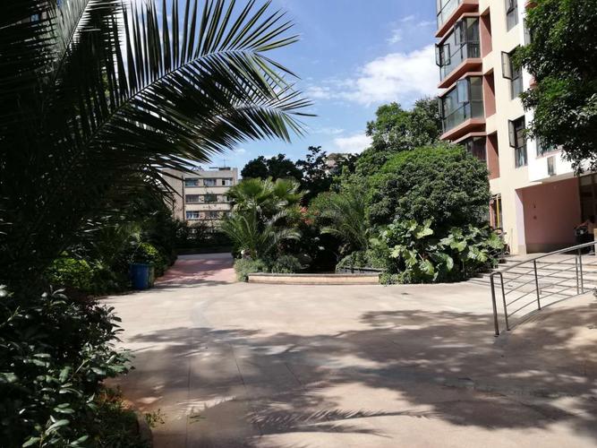 昆明青果社区在哪?