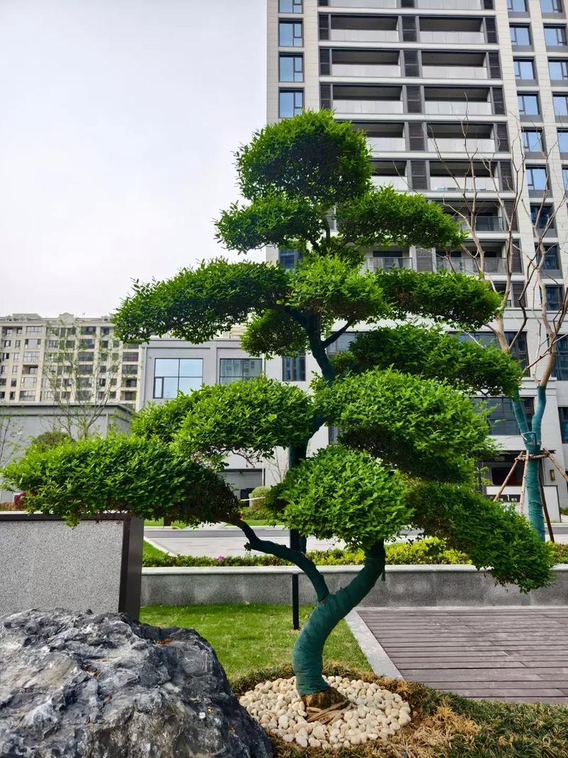 杭州 翡翠城 社区